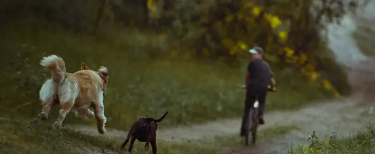 A man running away from pet dog